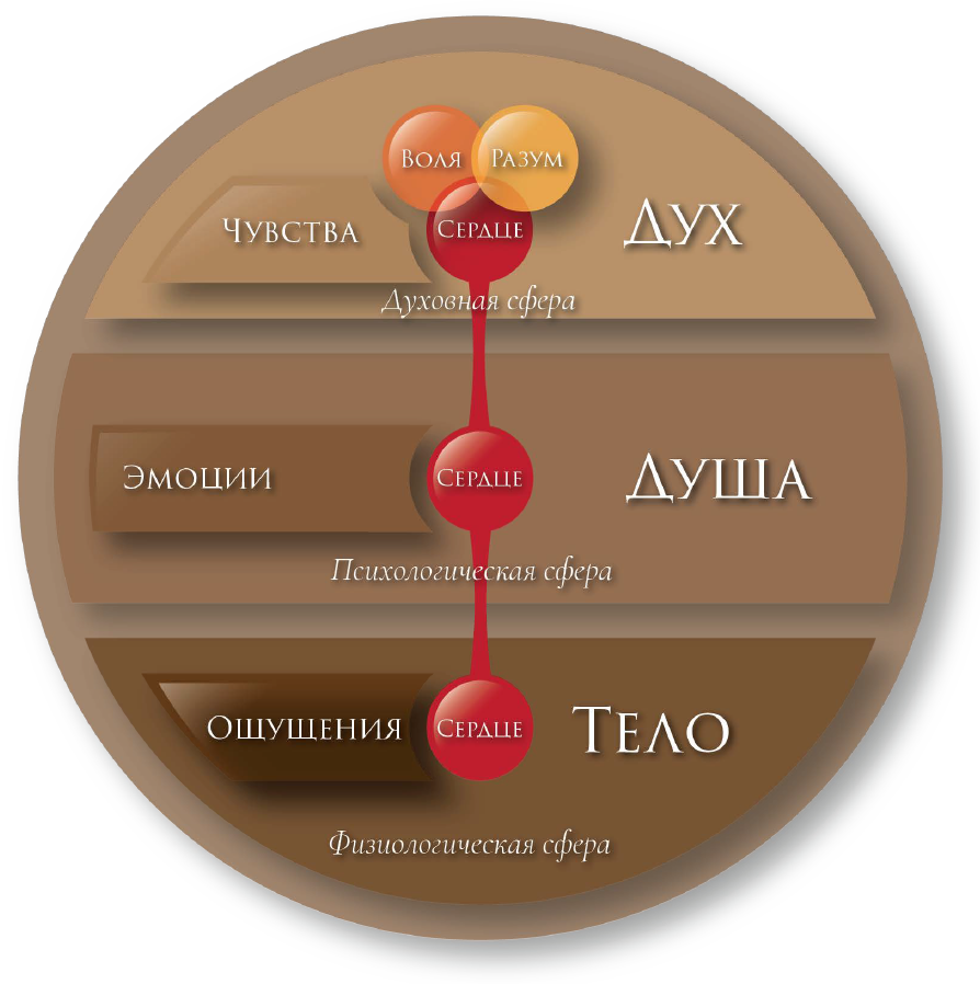 Источник и средоточие | VLI